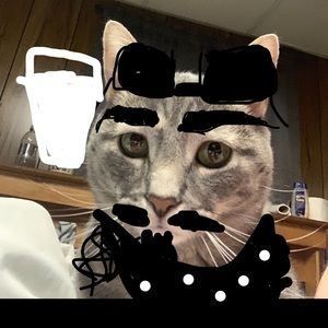 Meet your Posher, Talon